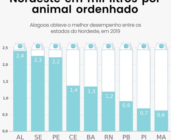 Alagoas supera média nacional e tem a maior produtividade leiteira do Nordeste