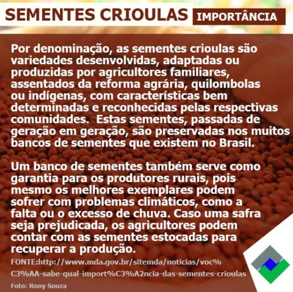 Importâncias das sementes crioulas