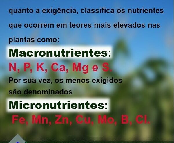 Macronutrientes e micronutrientes exigidos pelas plantas