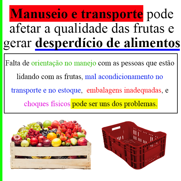 Manuseio e transporte pode afetar a qualidade das frutas e gerar desperdício de alimentos