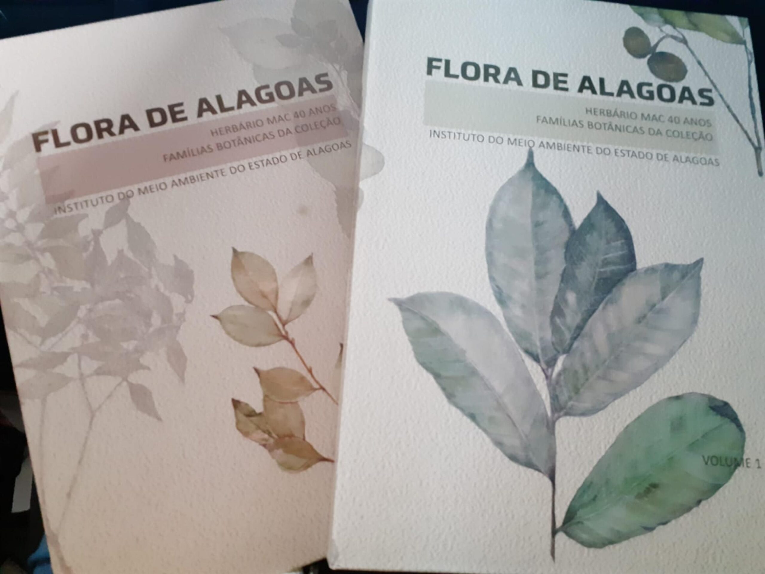 Bienal: IMA lança estudo fundamental sobre famílias botânicas da flora alagoana
