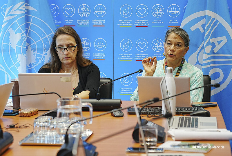 Atores não governamentais da América Latina e do Caribe debateram a transformação dos sistemas agroalimentares na preparação para a 38ª Conferência Regional da FAO